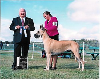 CH. LAURADO'S GLOWING EMBER