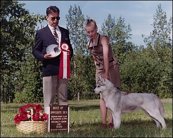 Best Opposite Sex Siberian Husky Club Specialty 1999