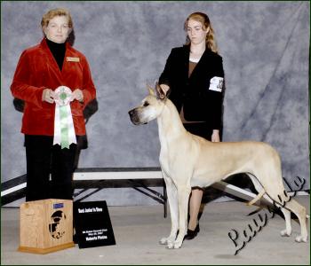 Best Junior in Show