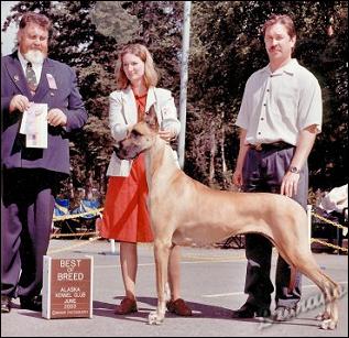 Ch. Laurado's Mandi Best of Breed June 2003